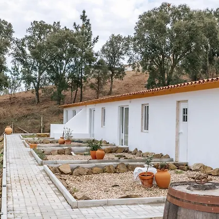 Alma-rio Dome By Mycelia