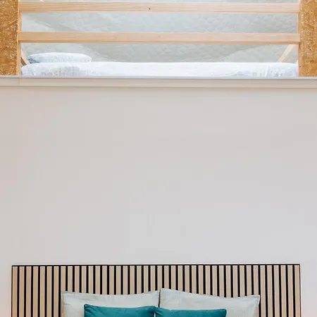 Alma-rio Dome By Mycelia *