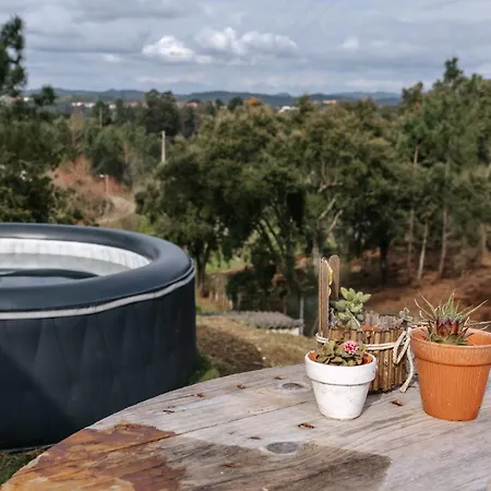 Alma-rio Dome By Mycelia Tomar