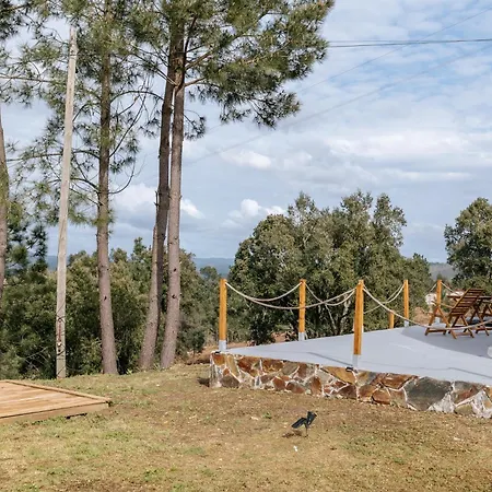 Alma-rio Dome By Mycelia Tomar