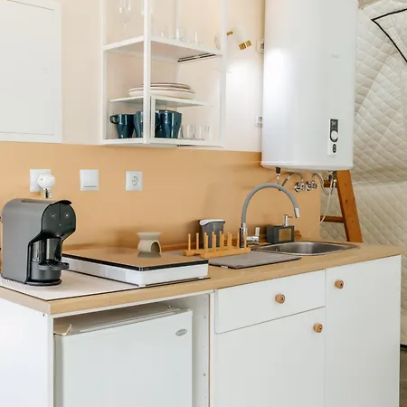 Alma-rio Dome By Mycelia