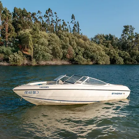 Alma-rio Dome By Mycelia Luxe tent