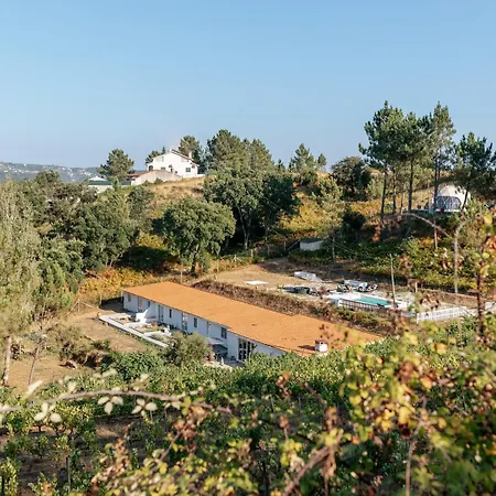 Alma-rio Dome By Mycelia *