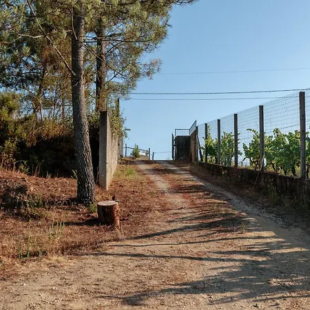 Luxe tent Alma-rio Dome By Mycelia Tomar