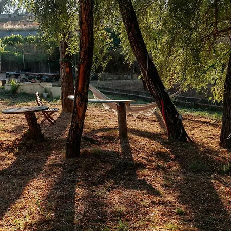 Luxe tent Alma-rio Dome By Mycelia