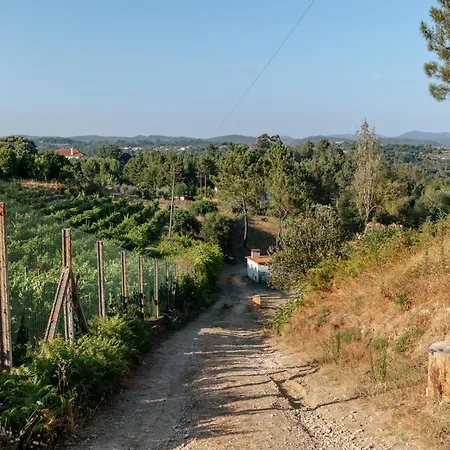 Alma-rio Dome By Mycelia