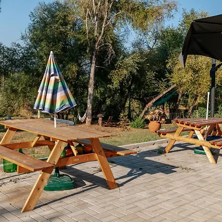 Alma-rio Dome By Mycelia Campo de lujo