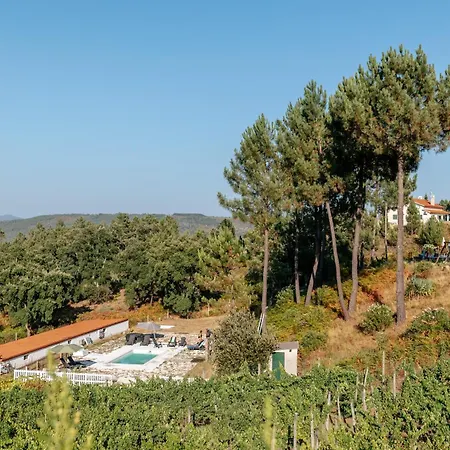 Luxussátor Alma-rio Dome By Mycelia *