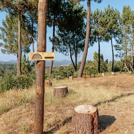 Alma-rio Dome By Mycelia