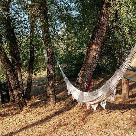 Campo de lujo Alma-rio Dome By Mycelia *