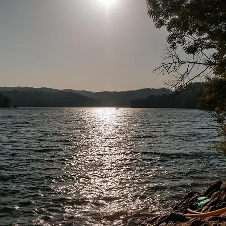 Alma-rio Dome By Mycelia