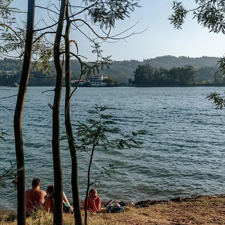 Alma-rio Dome By Mycelia Tomar