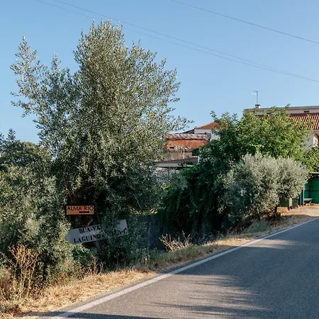 Luxussátor Alma-rio Dome By Mycelia *