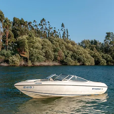 Alma-rio Dome By Mycelia Tomar