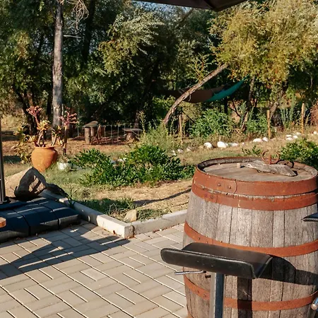 Alma-rio Dome By Mycelia Campo de lujo Tomar