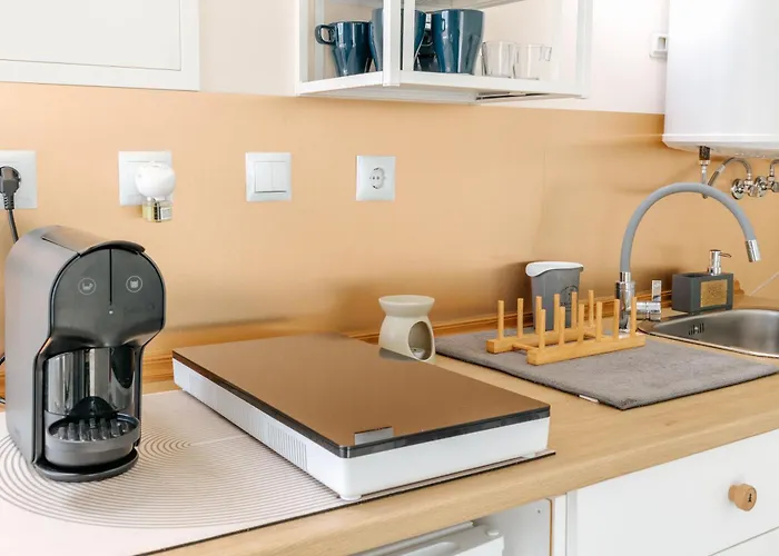 Alma-rio Dome By Mycelia * Tomar