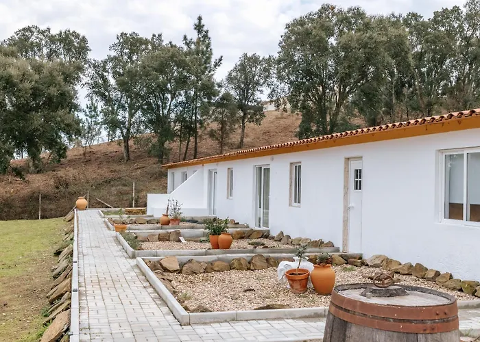 Alma-rio Dome By Mycelia