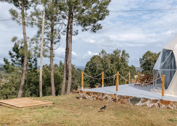 Alma-rio Dome By Mycelia Tomar