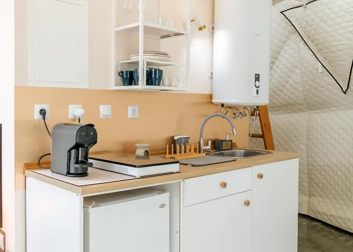 Alma-rio Dome By Mycelia