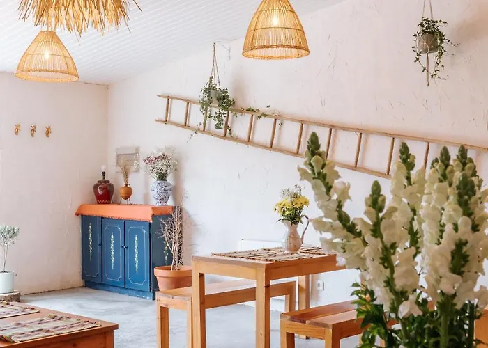 Alma-rio Dome By Mycelia Lyxtält Tomar