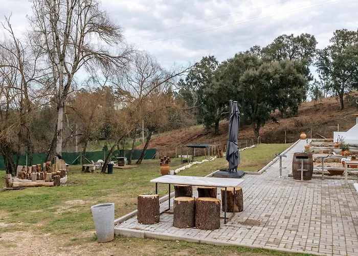 Alma-rio Dome By Mycelia * Tomar