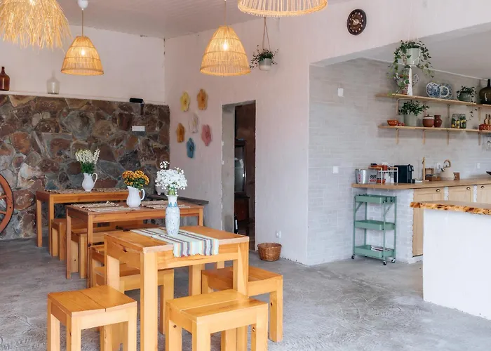 Alma-rio Dome By Mycelia Tomar