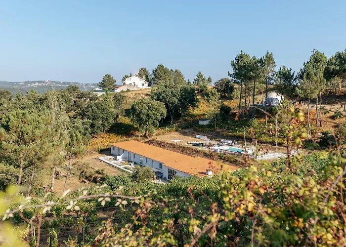 Alma-rio Dome By Mycelia *