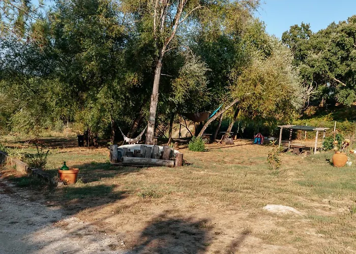 Alma-rio Dome By Mycelia Lyxtält *