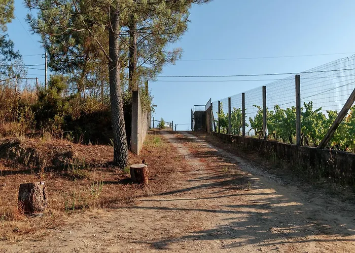 Luxussátor Alma-rio Dome By Mycelia Tomar