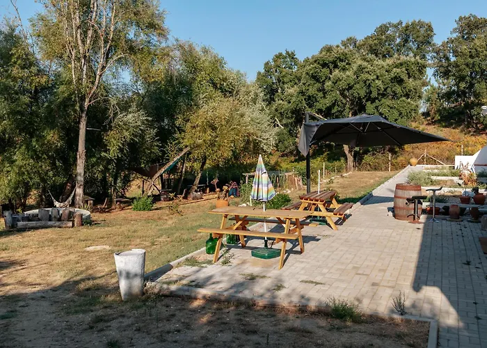 Alma-rio Dome By Mycelia