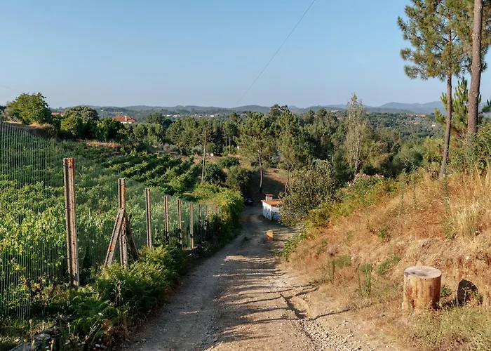 Alma-rio Dome By Mycelia