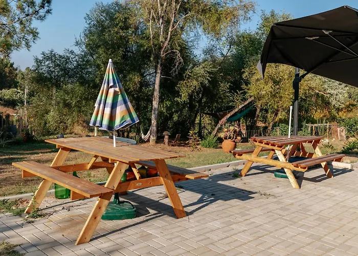 Alma-rio Dome By Mycelia Lyxtält