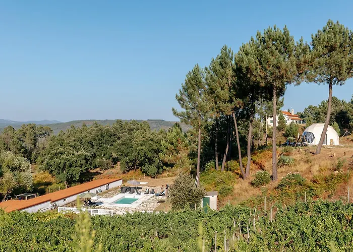 Οργανωμένο κάμπινγκ Alma-rio Dome By Mycelia *