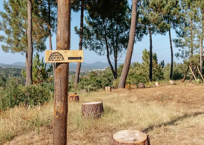 Alma-rio Dome By Mycelia