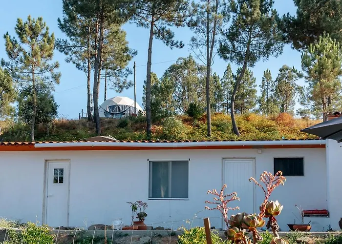 Alma-rio Dome By Mycelia Lyxtält *