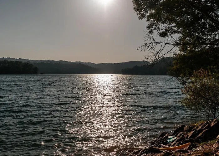 Alma-rio Dome By Mycelia