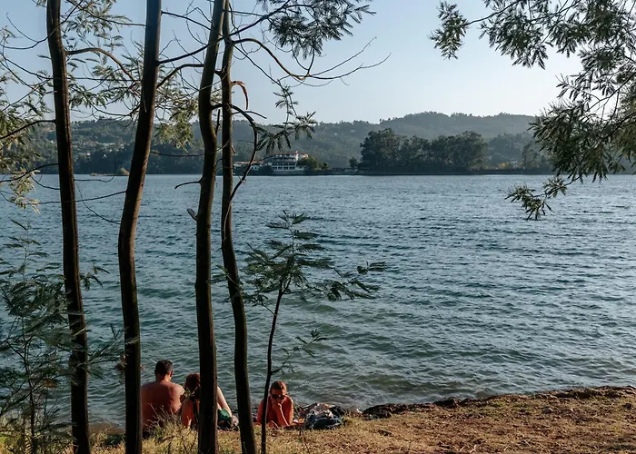 Alma-rio Dome By Mycelia Tomar