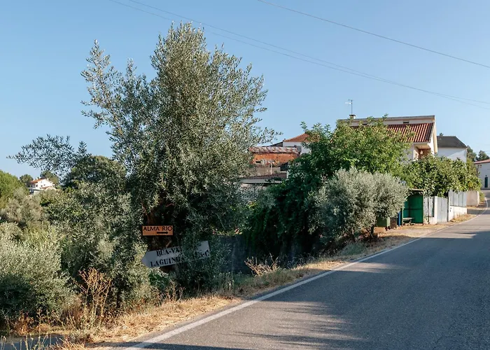 Lyxtält Alma-rio Dome By Mycelia *