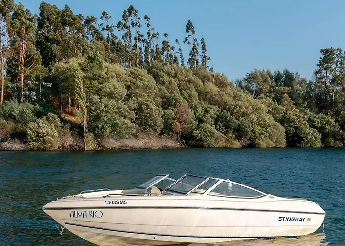 Alma-rio Dome By Mycelia Tomar