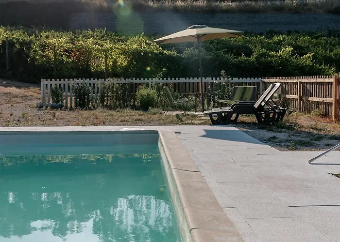 Alma-rio Dome By Mycelia * Tomar